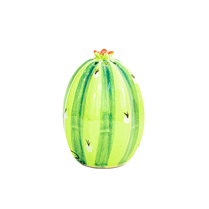 Saleros cactus