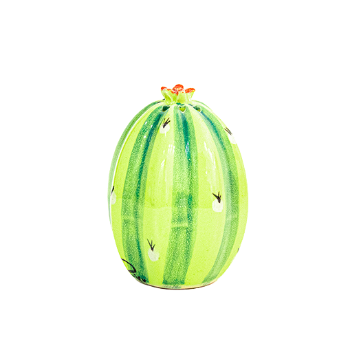 Saleros cactus