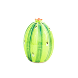 Saleros cactus